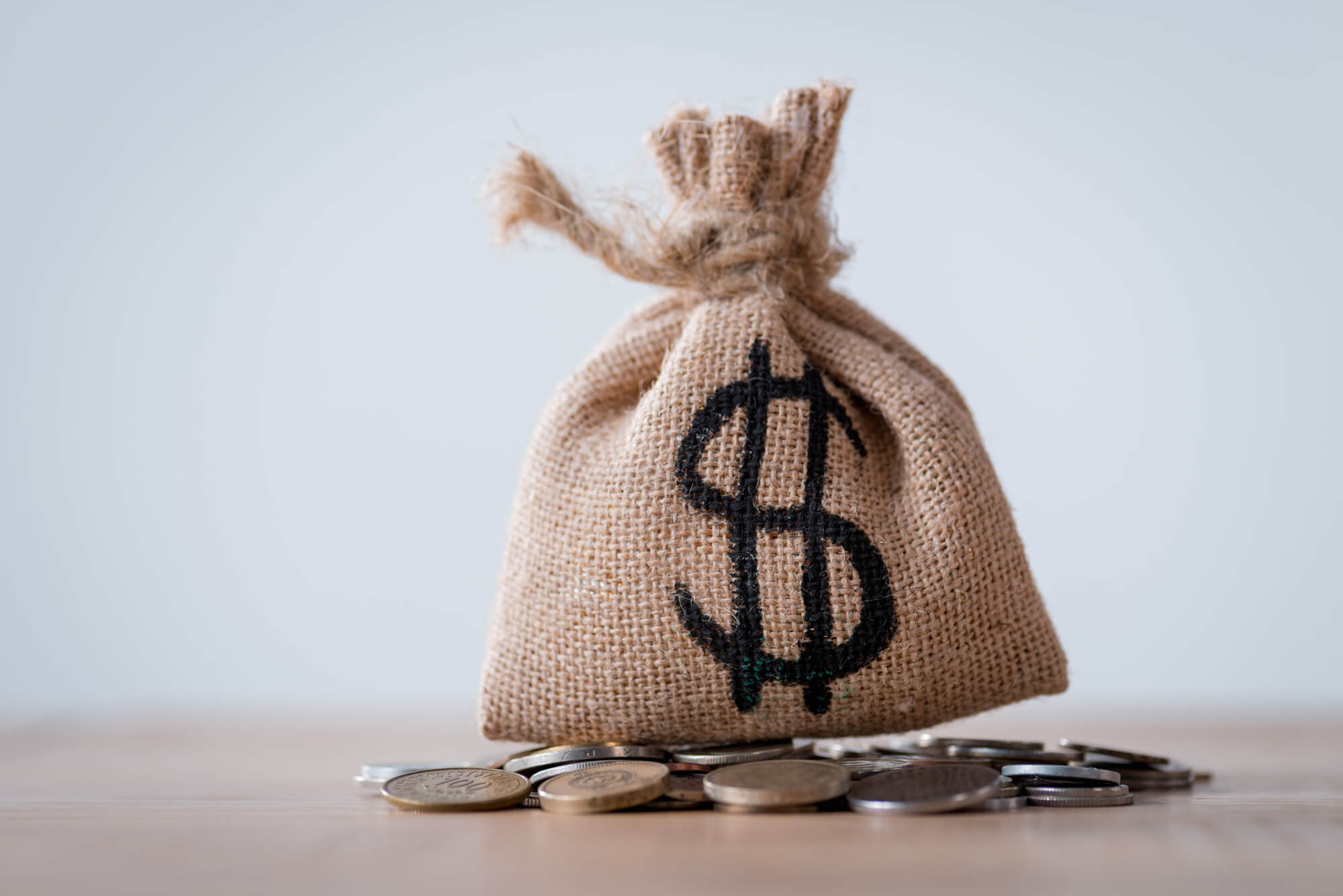 money bag with dollar sign and coins underneath it