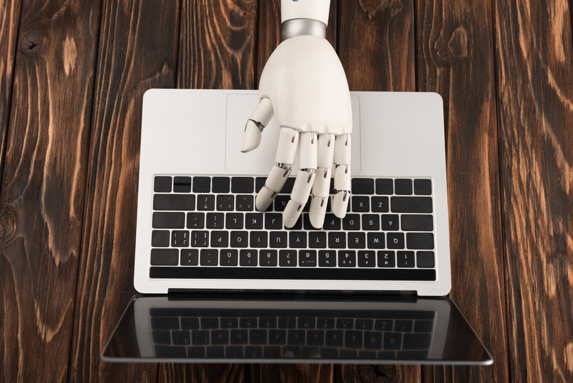 bot using laptop