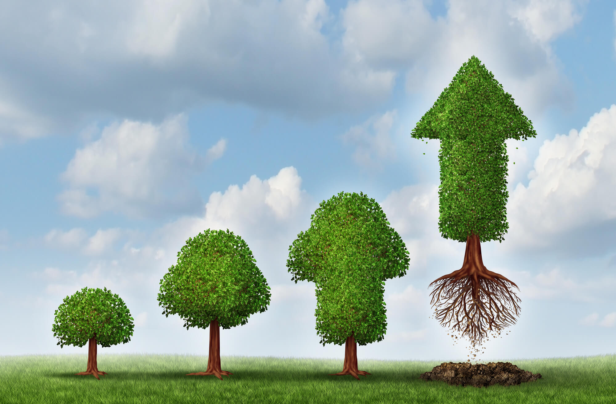 four trees skyrocketing to success  