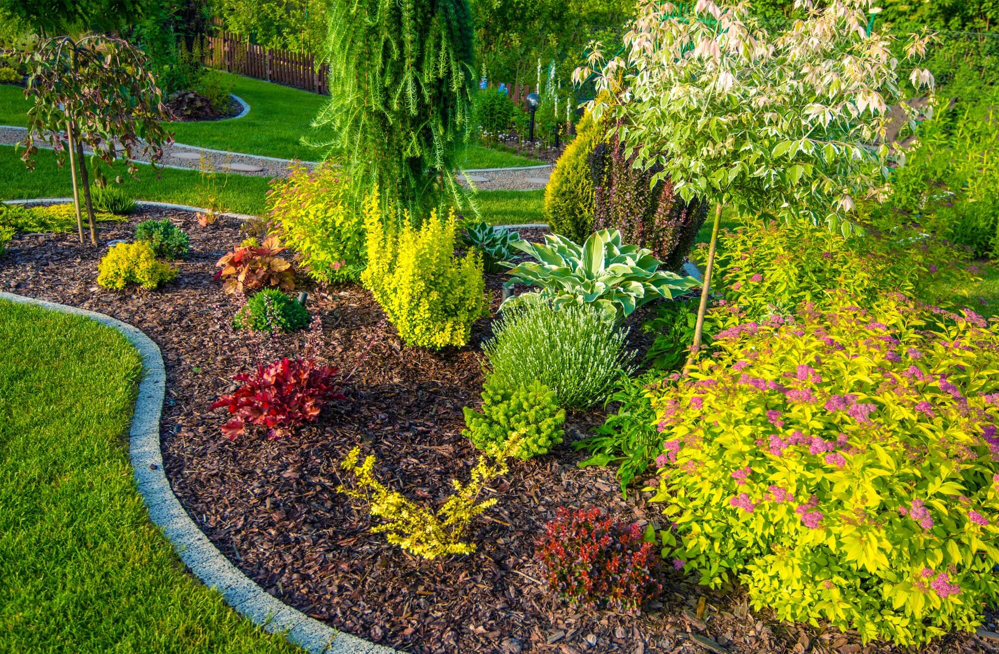 garden quality image 