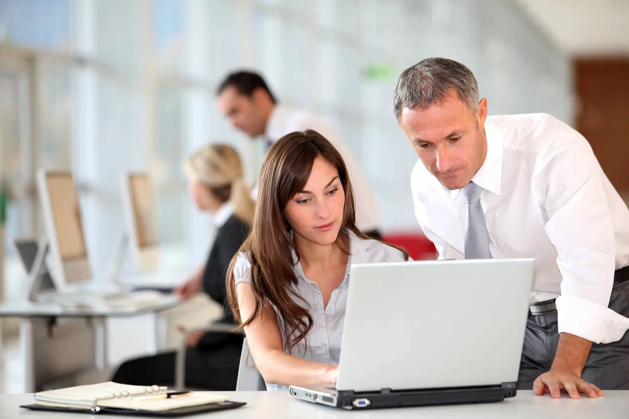 Office team collaborating with laptops and computers in a modern workspace with large windows and natural light