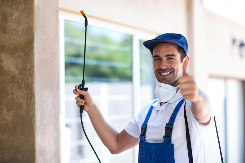 seo pest control company spraying