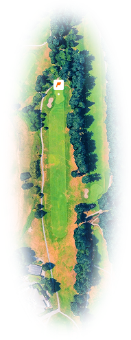 Aerial view of a golf hole with fairway, trees lining both sides, sand bunkers, and a putting green.