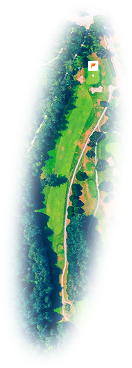 Aerial view of a golf course hole with green fairway, sand bunkers, a putting green, and surrounding trees.
