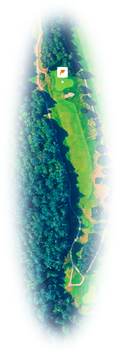 Aerial view of a golf hole with a fairway bordered by dense trees and sand bunkers near the green.