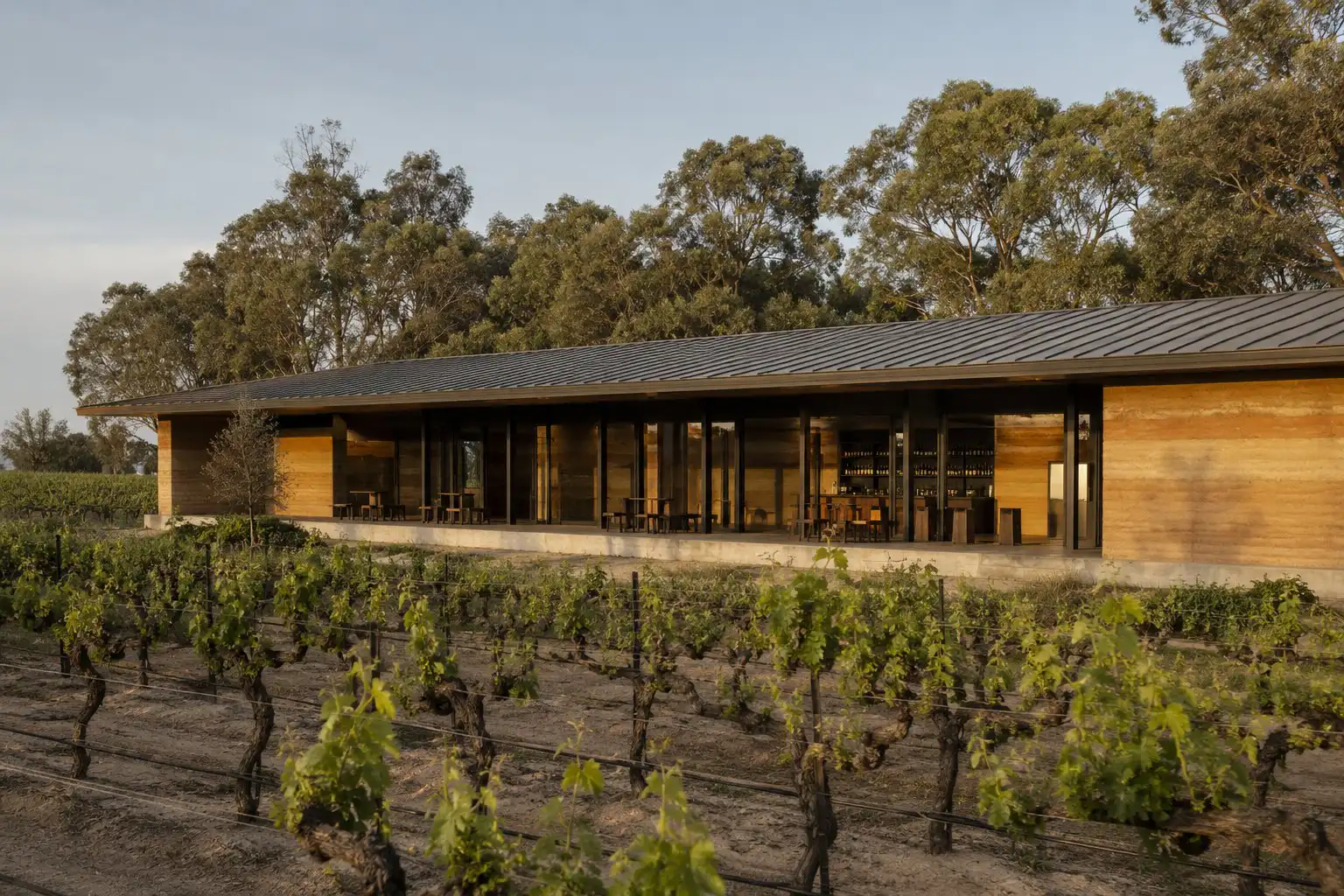 Exterior of winey with vineyard surround