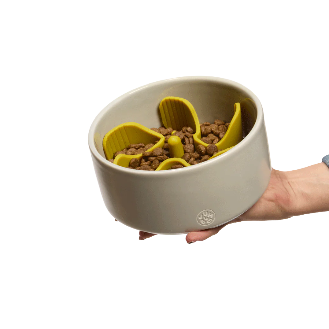 Jumble Pets ceramic slow feeder bowl with yellow maze insert