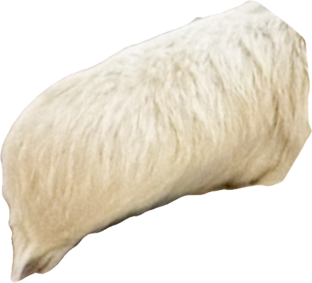 Marges tot tail