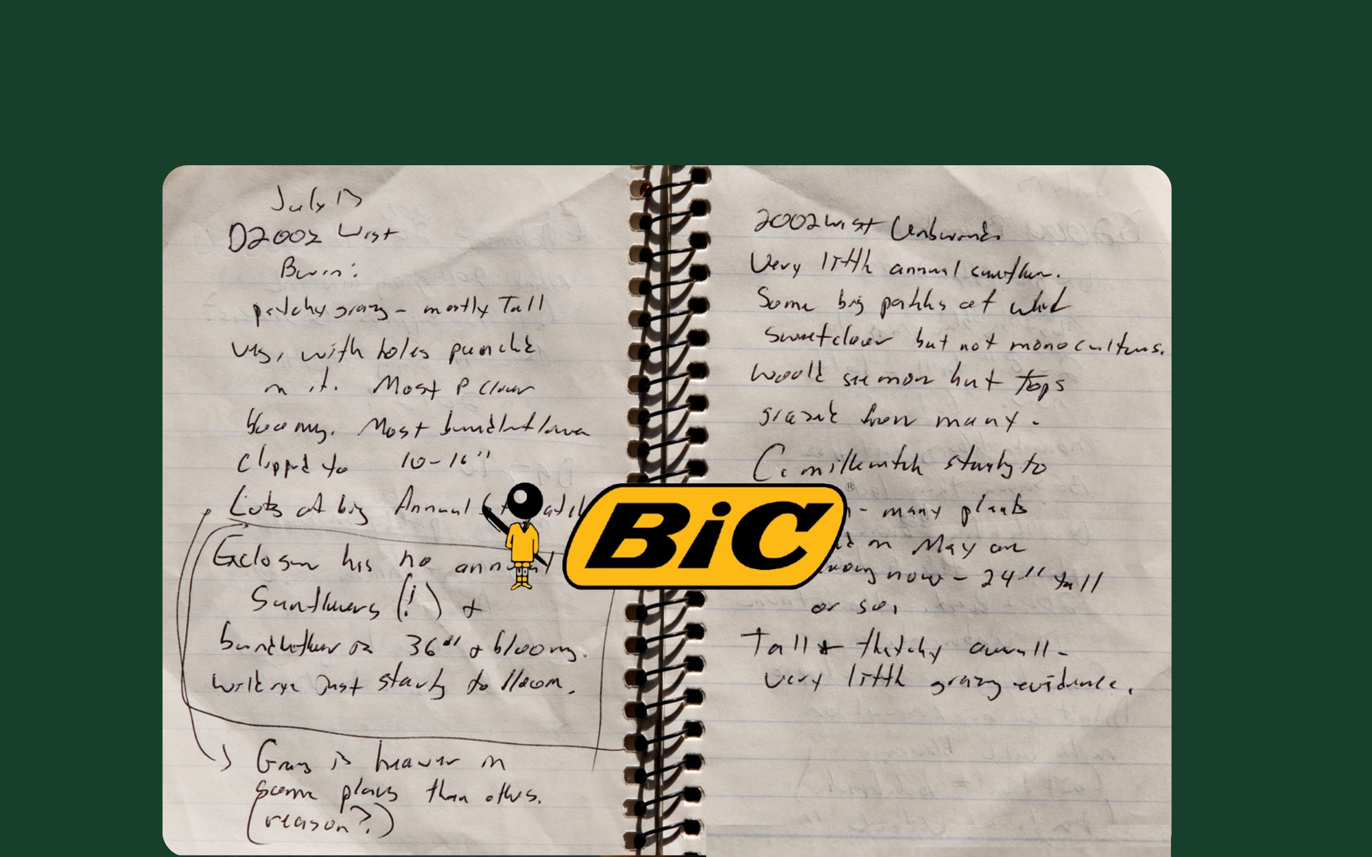 Bic