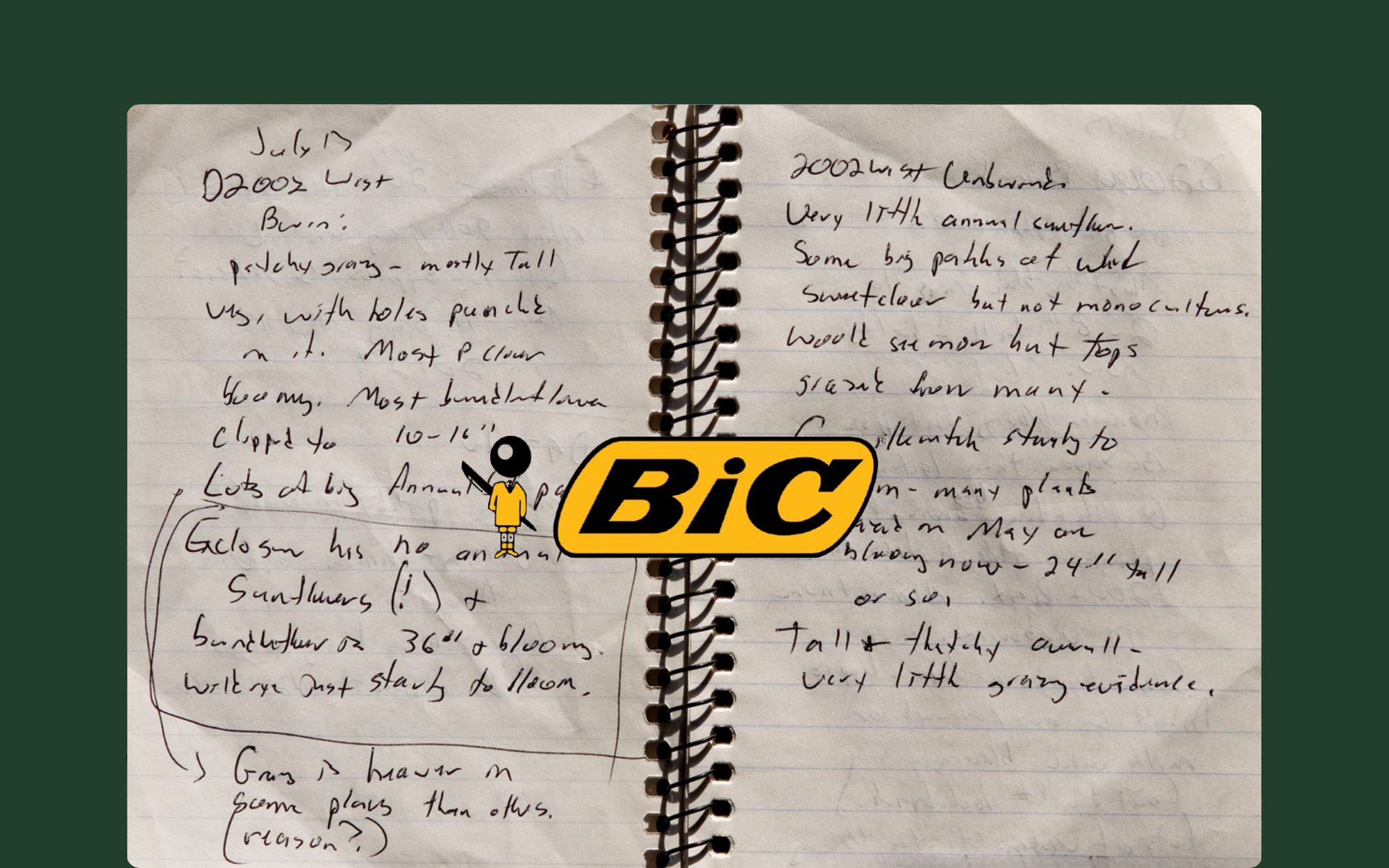 Bic