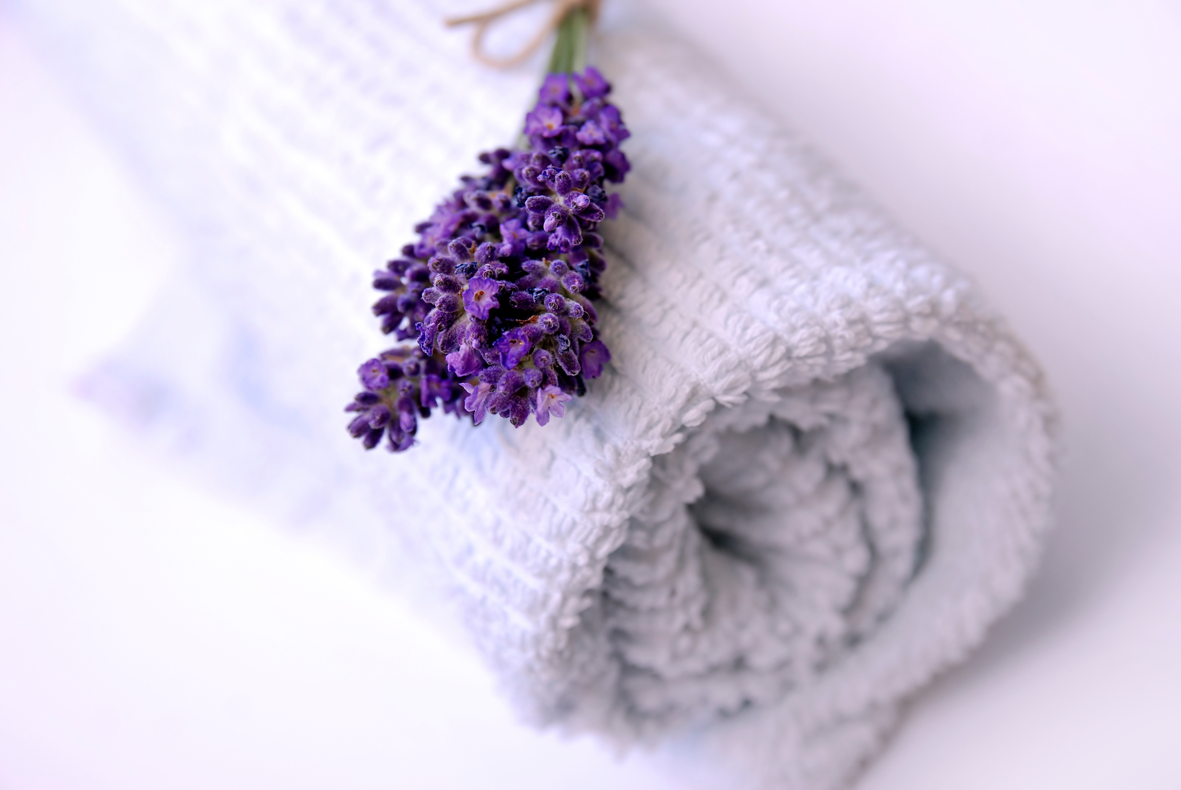 towel service