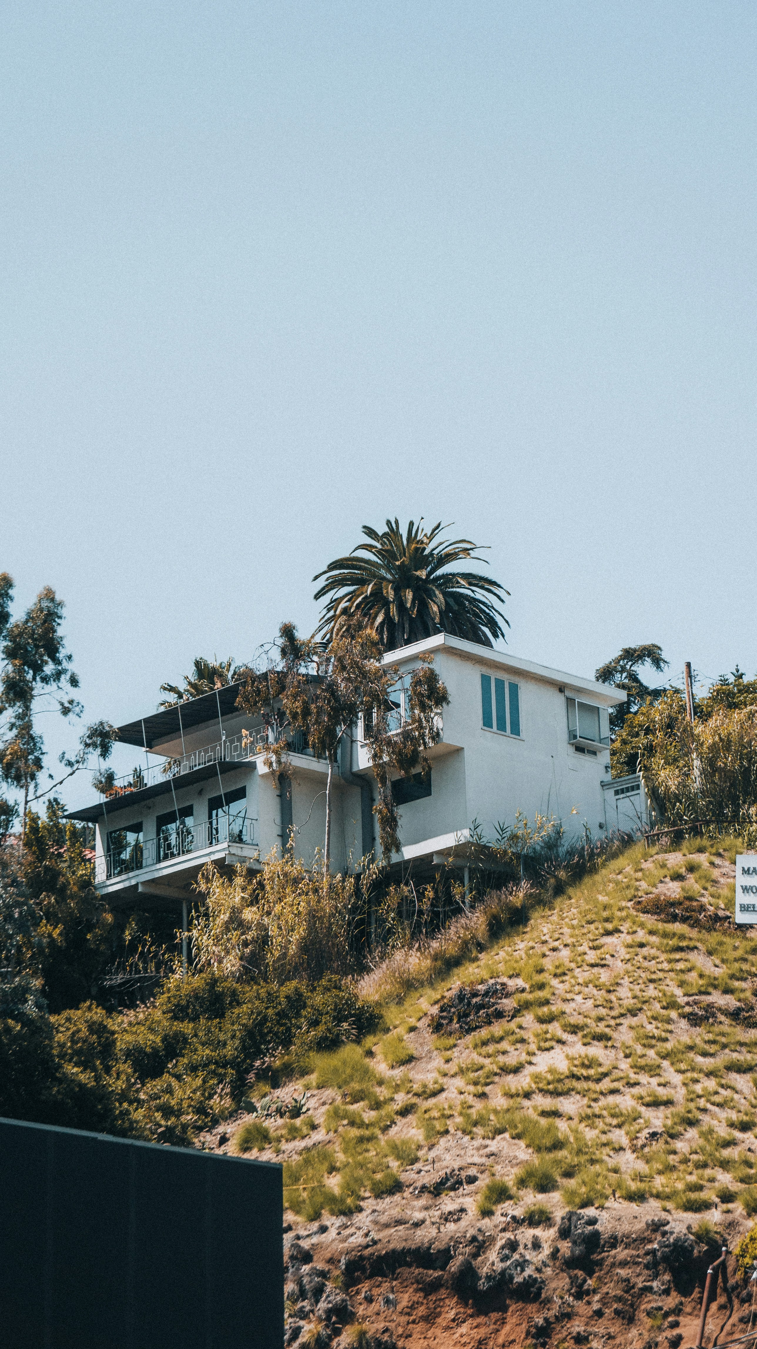 Modern house on a hill with palm trees and vegetation under a clear blue sky.