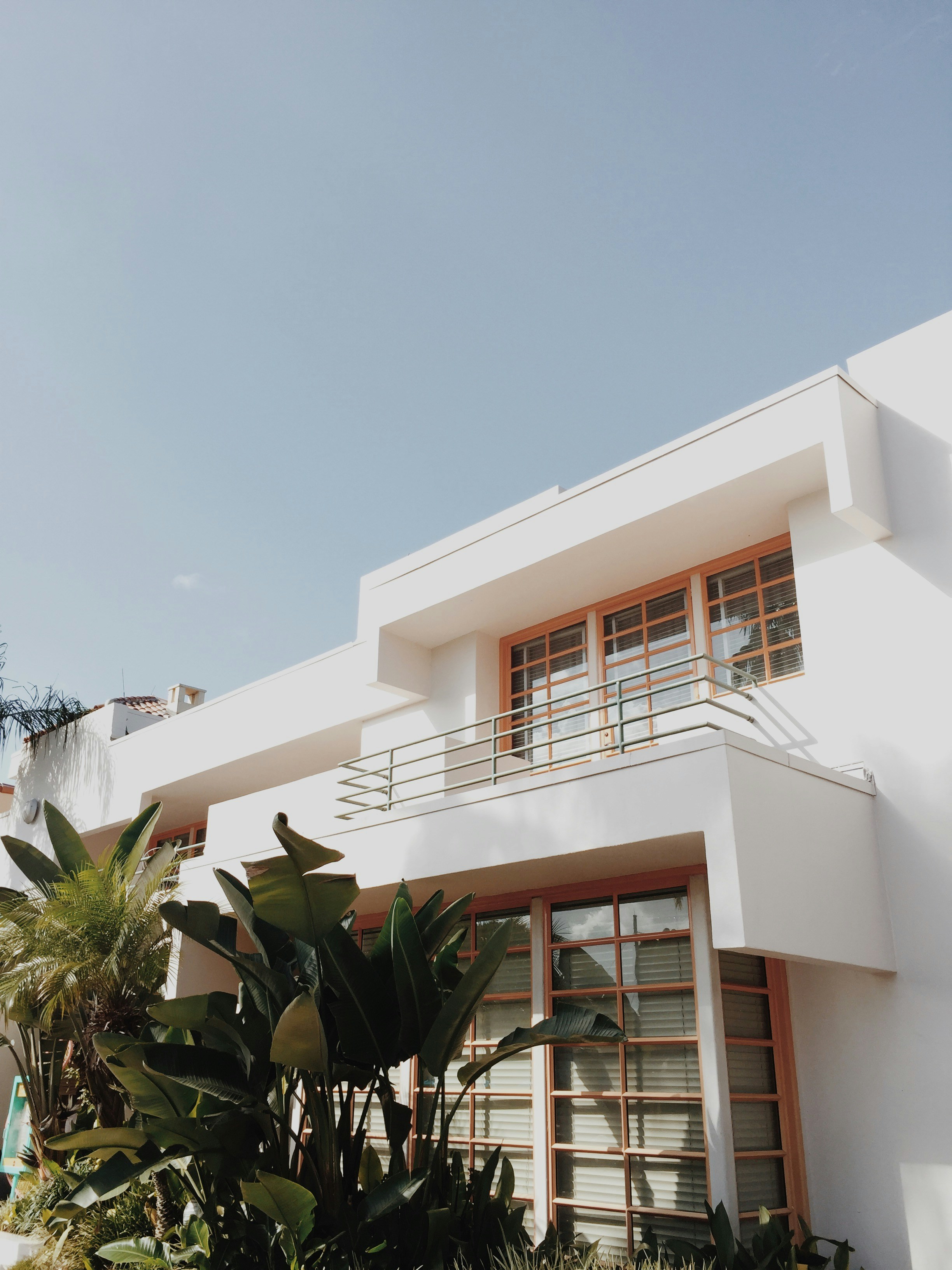 Modern white building with large wooden-framed windows and lush green plants in front.
