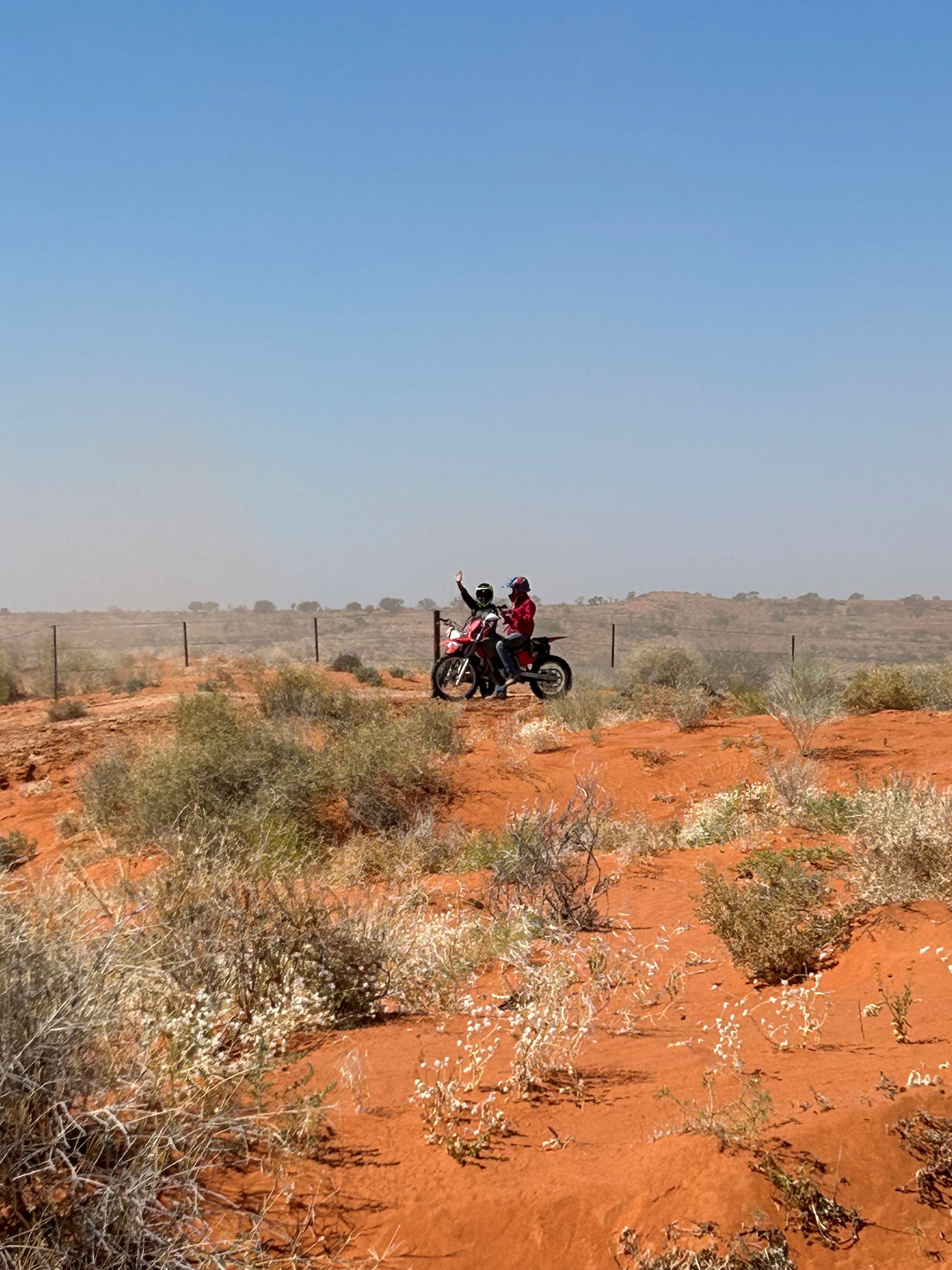 Mustering cattle by motorbike on a Queensland cattle station