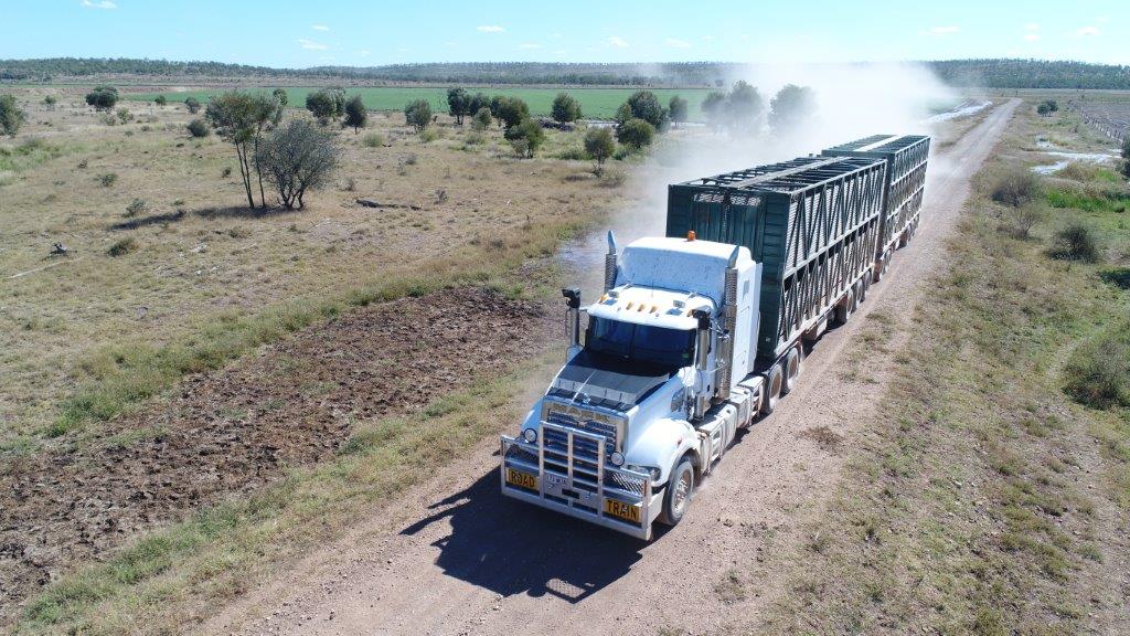 Road train transporting cattle in regional Queensland