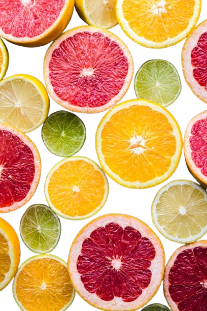 Sliced citrus fruits