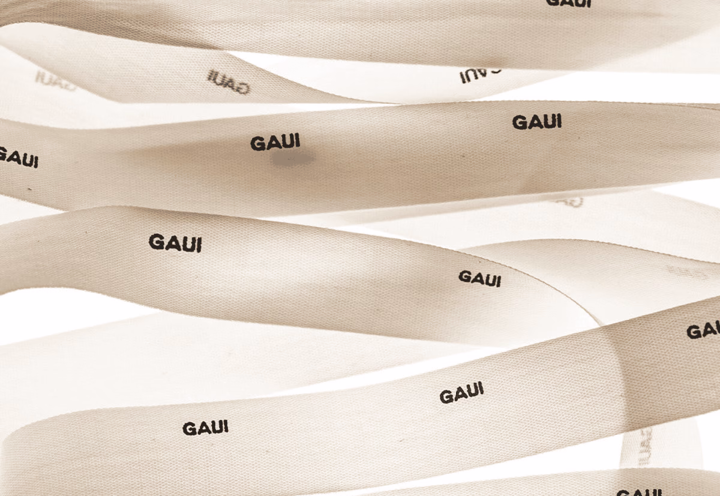 Gaui project challenge photo