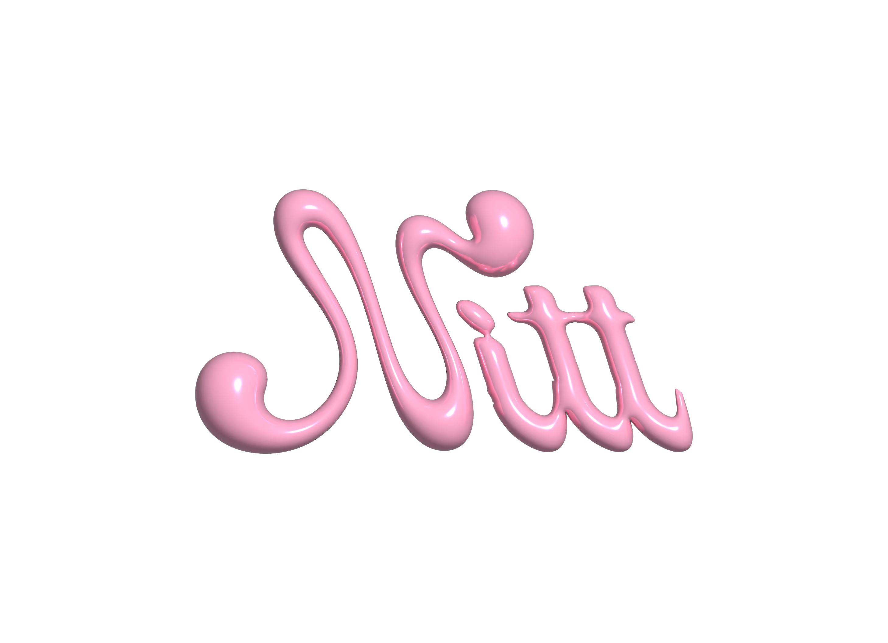 Nitt Beauty logo