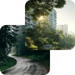 Curving road through dense forest with tall trees and sunlight filtering through leaves.