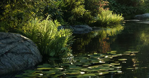 A serene pond with lily pads, green ferns, bushes, and rocks reflecting in the water.