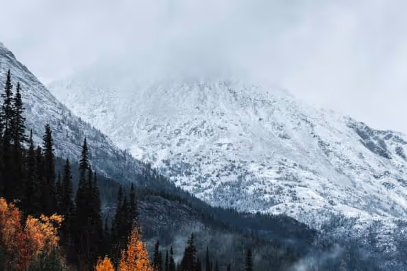 Snow-covered mountain partially shrouded in clouds with dark pine trees and autumn foliage in the foreground.