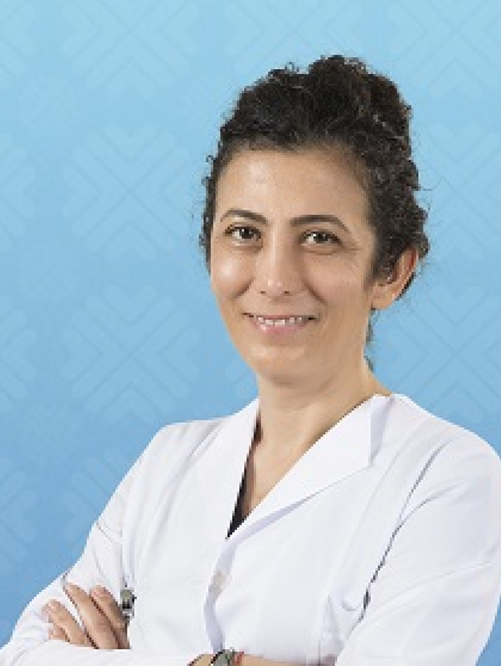 Doktor Öğretim Üyesi ELVAN DOLANMAZ