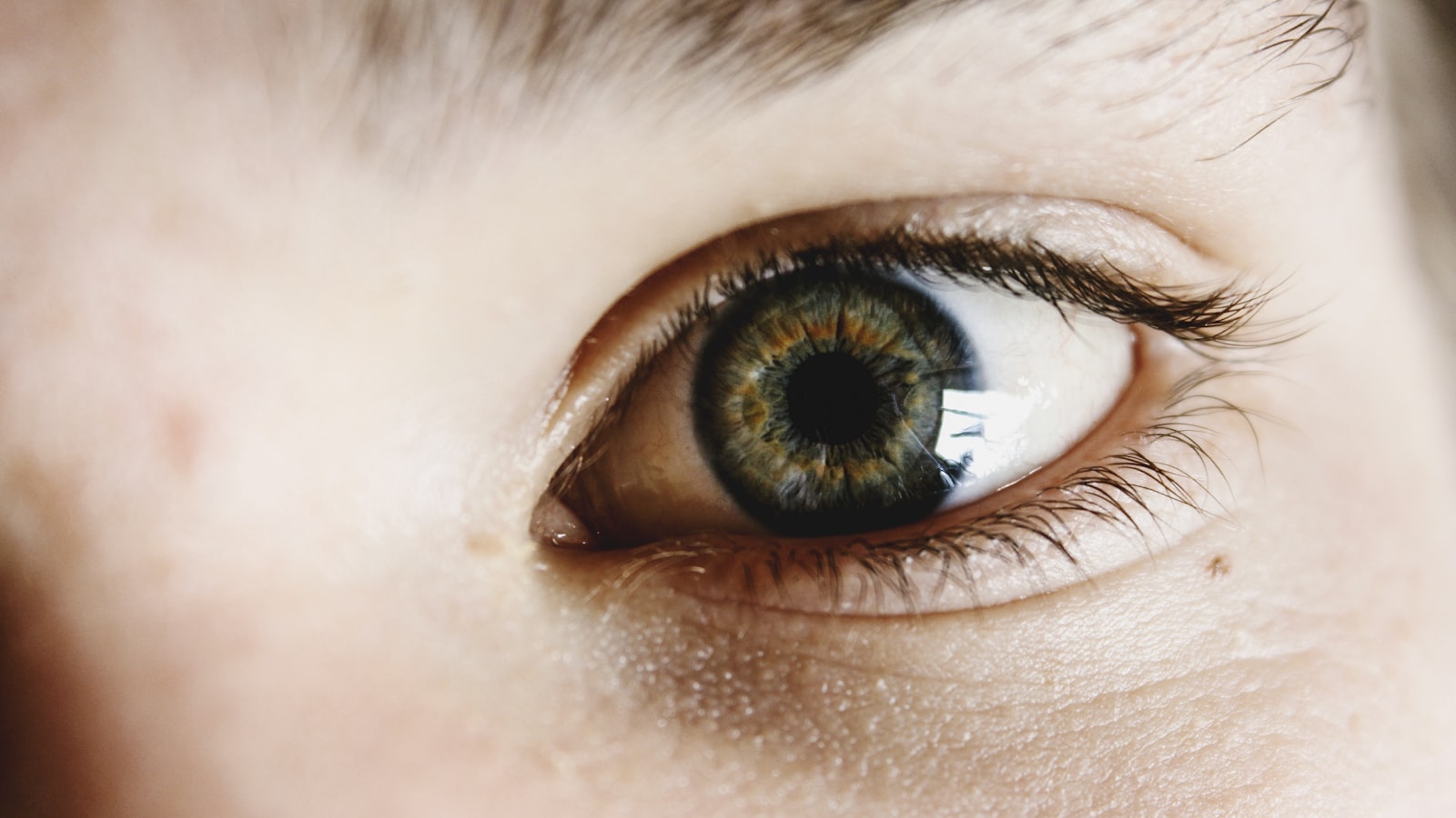Close-up of the human eye relevant to intracorneal ring segment implantation