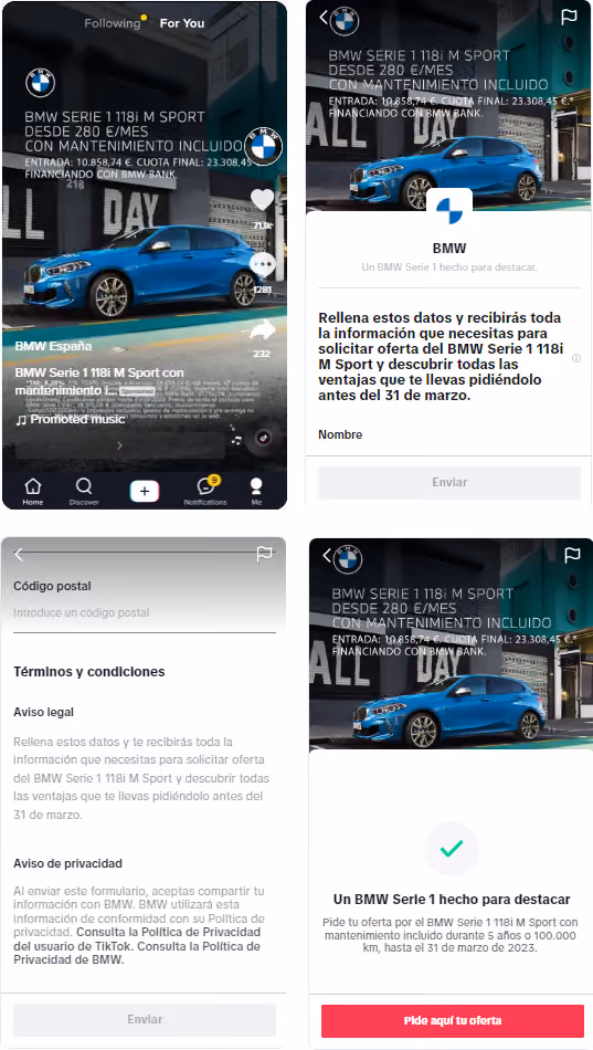 BMW TikTok Lead Gen ad case study screenshots
