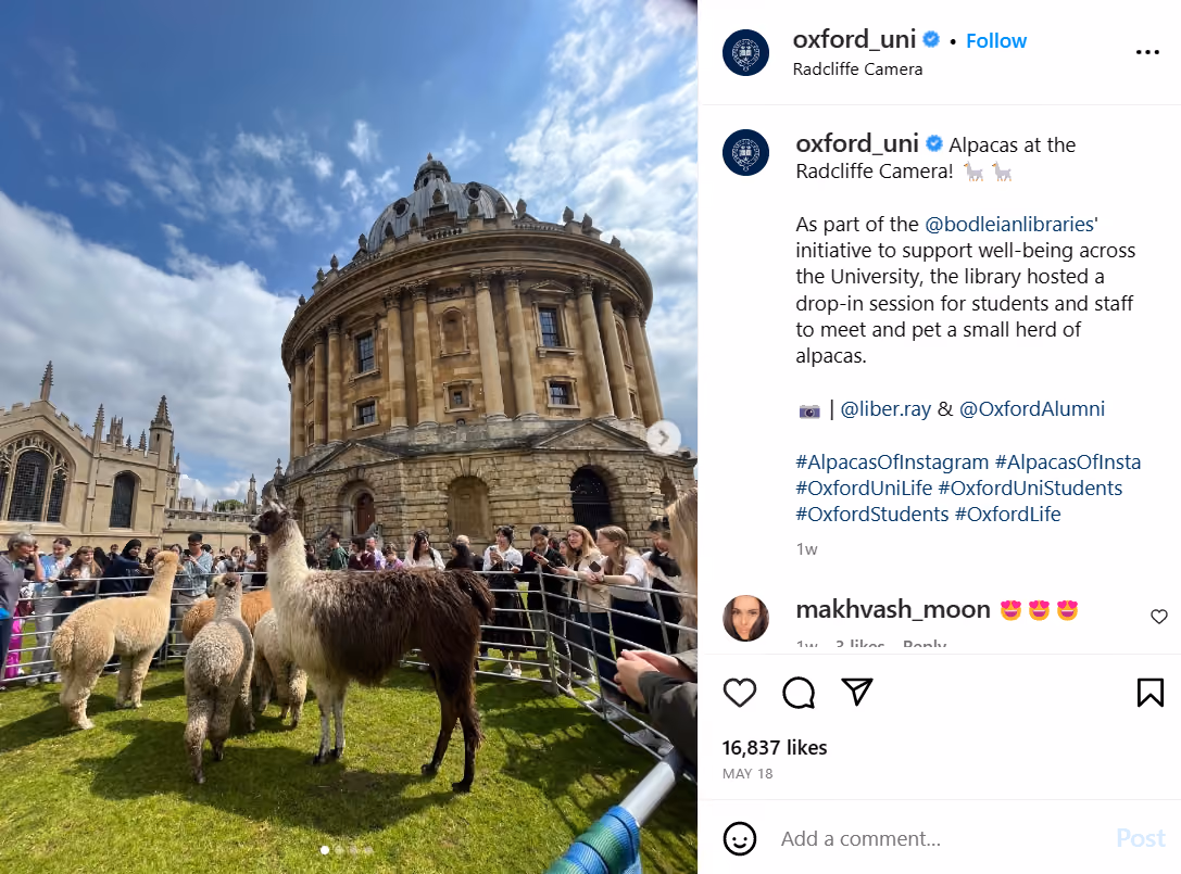 Ramp up social media for education lead generation