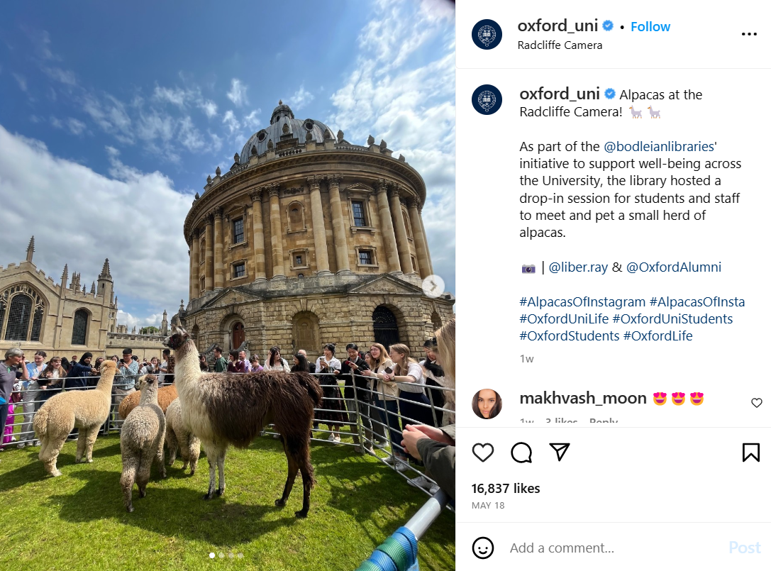 Ramp up social media for education lead generation