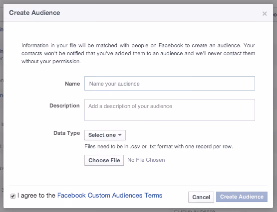  Name Facebook Custom Audience 