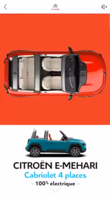 Facebook Canvas Ads