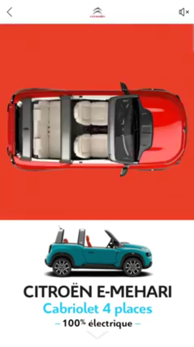Facebook Canvas Ads