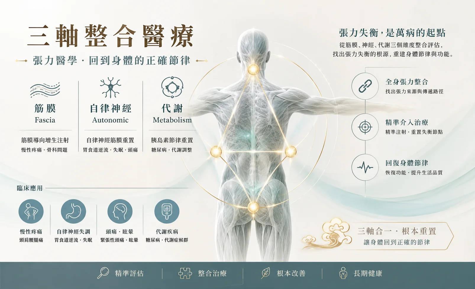 人體張力三軸模型:張力、自律神經與代謝彼此影響的整體示意圖