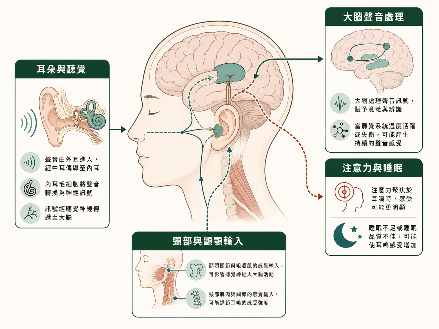 張力醫學日誌文章主圖