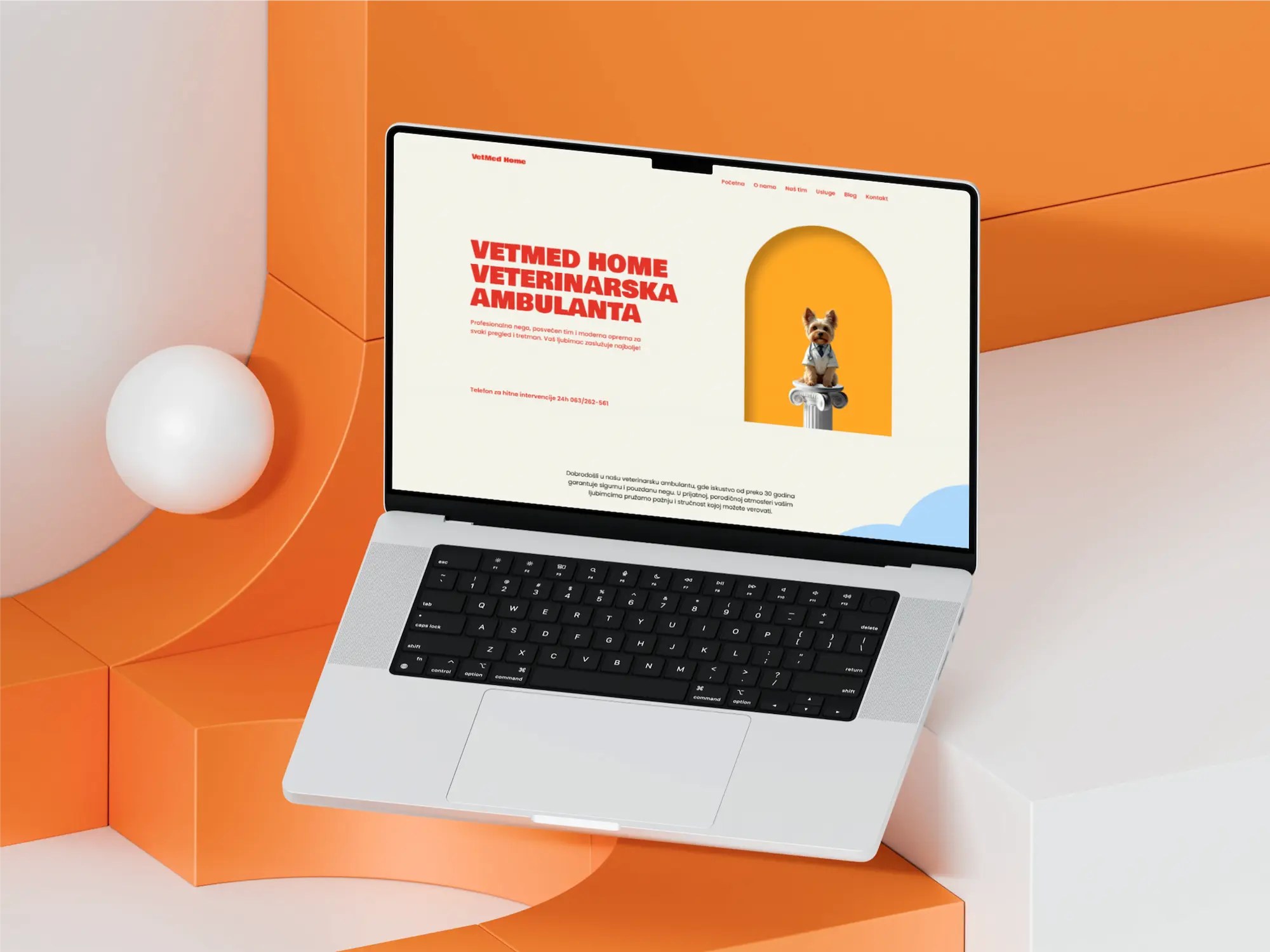 Veterinary clinic website design in Belgrade focused on pet care and animal health services