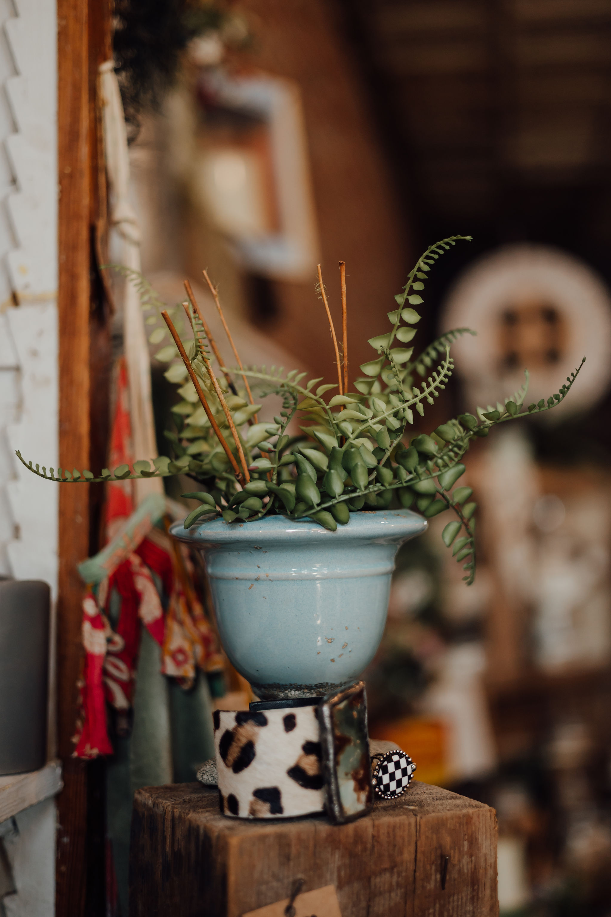 Inside Simply Blooming in downtown Traer