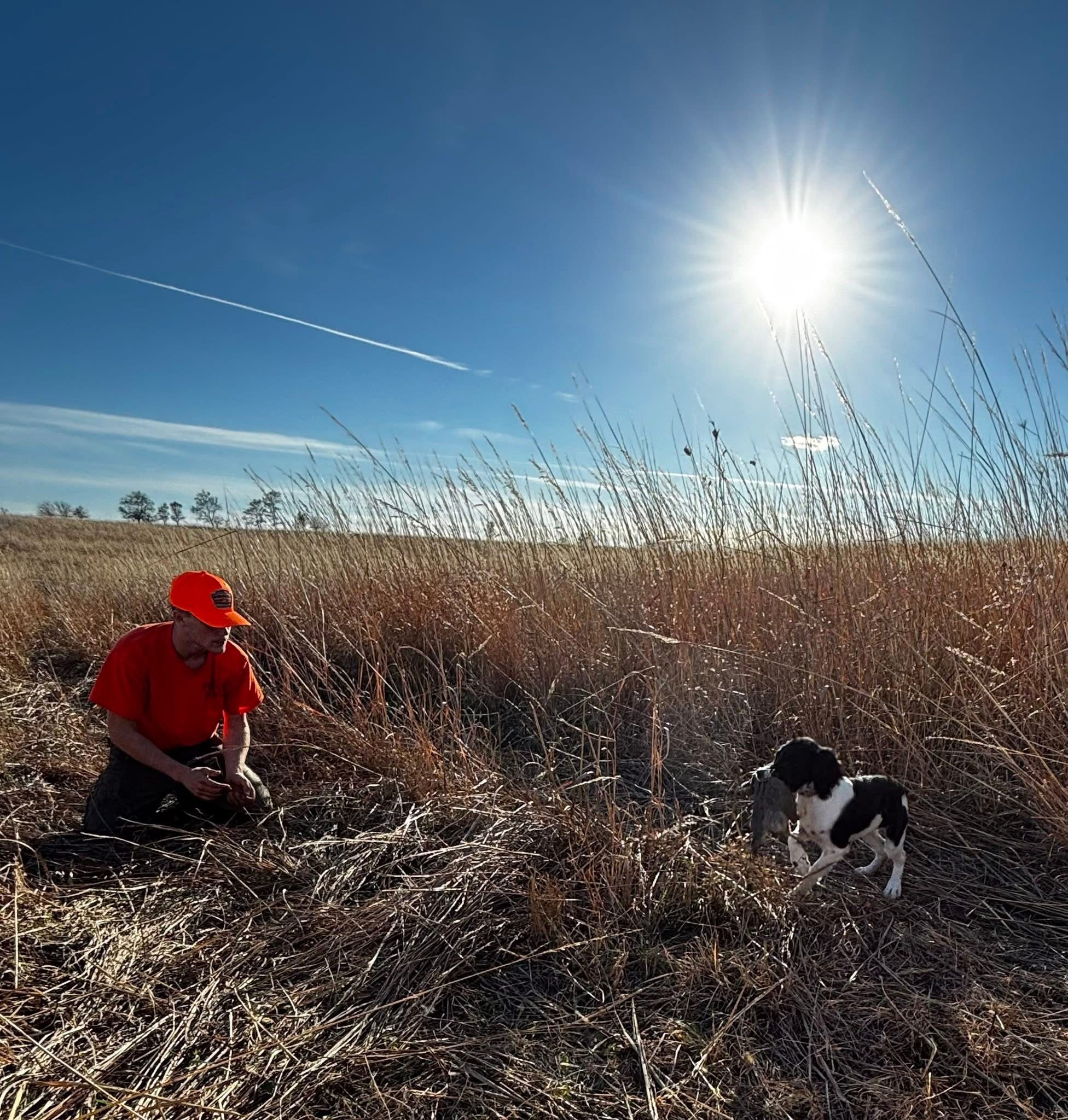 Roman working Aksel in the golden prairie grass