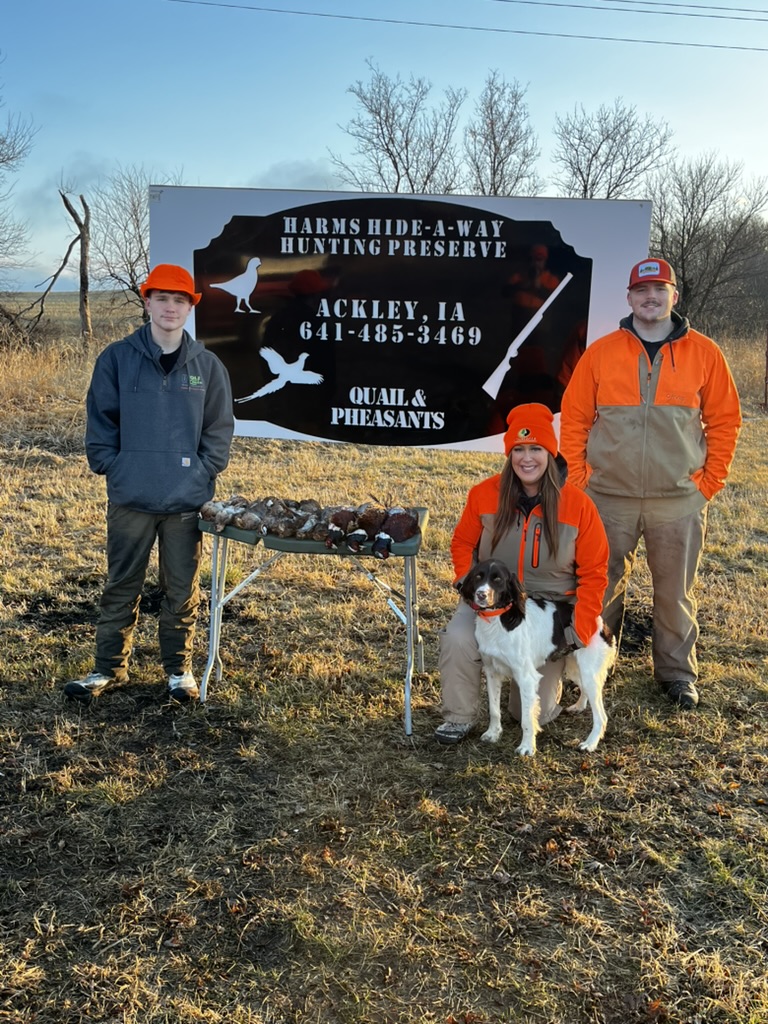 Sarah, the boys, and the dogs — the whole crew