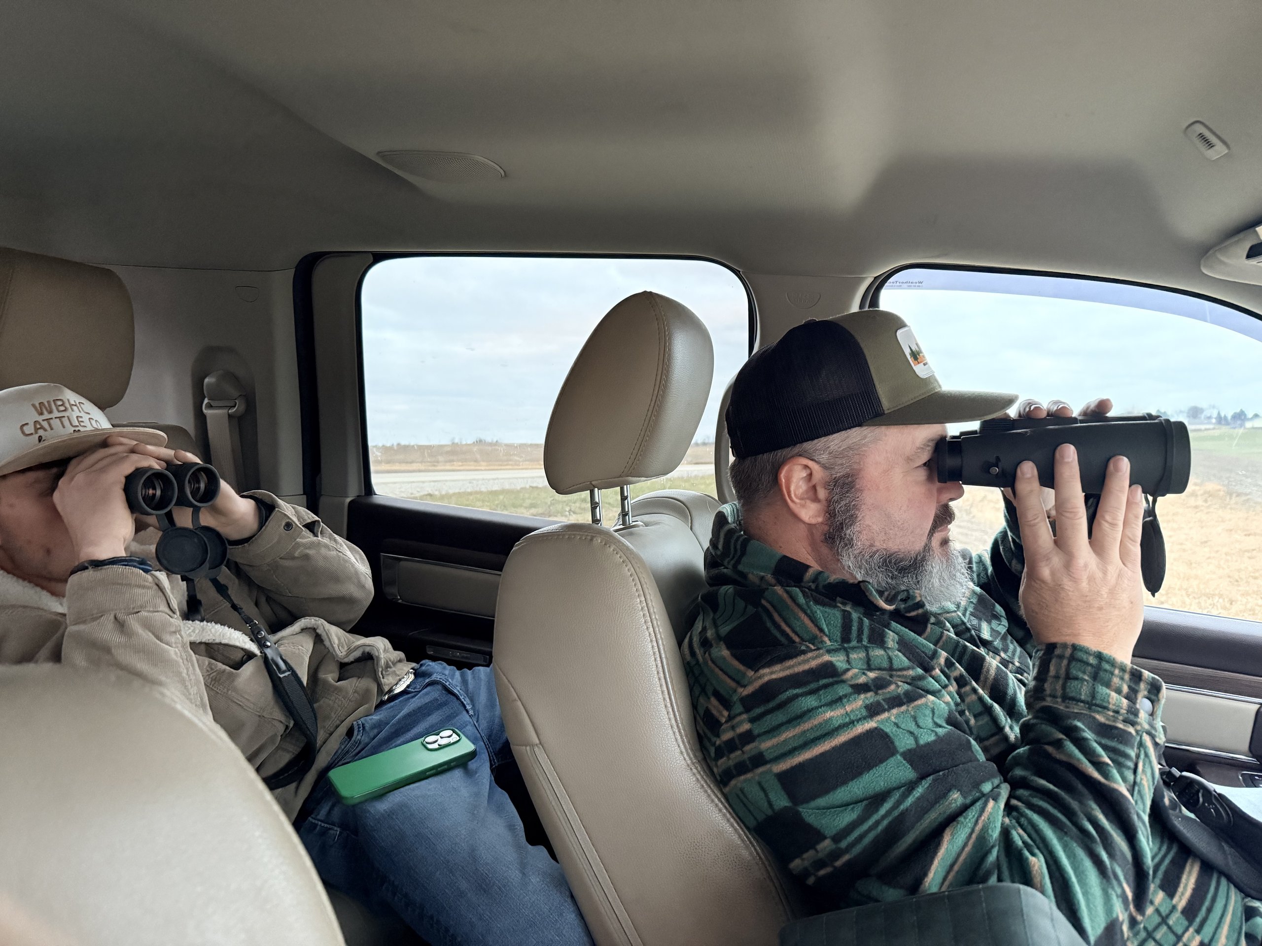 Glassing the field