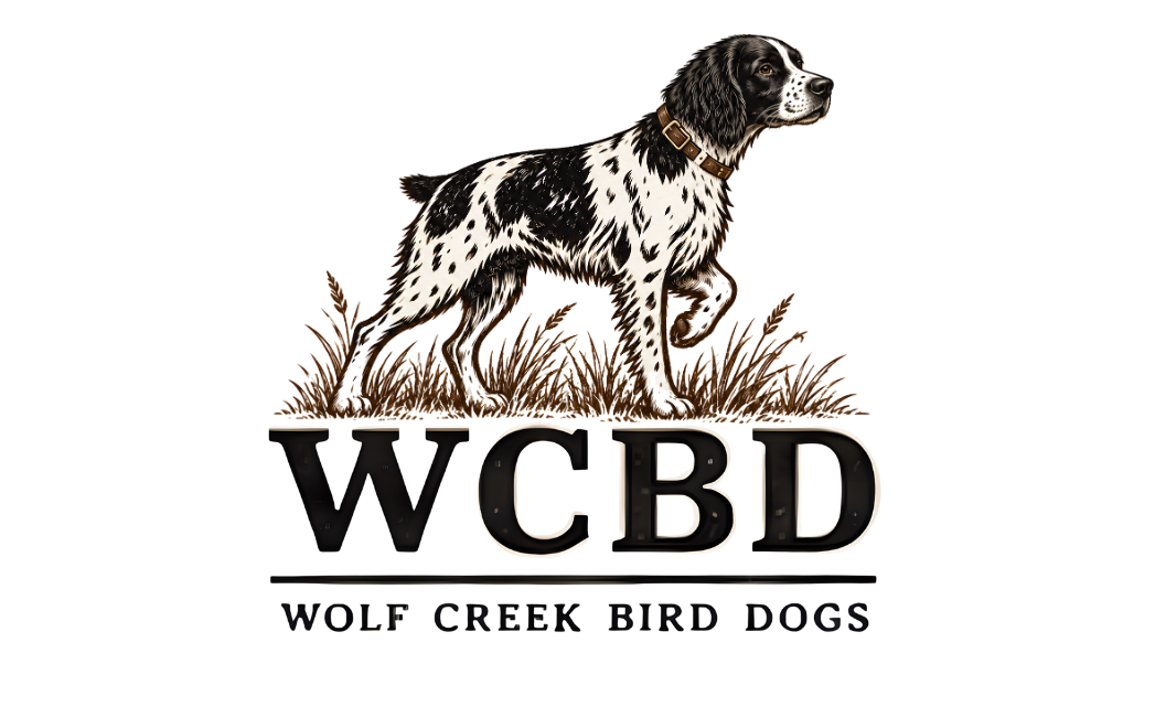 Wolf Creek Bird Dogs — the pack, born for the field