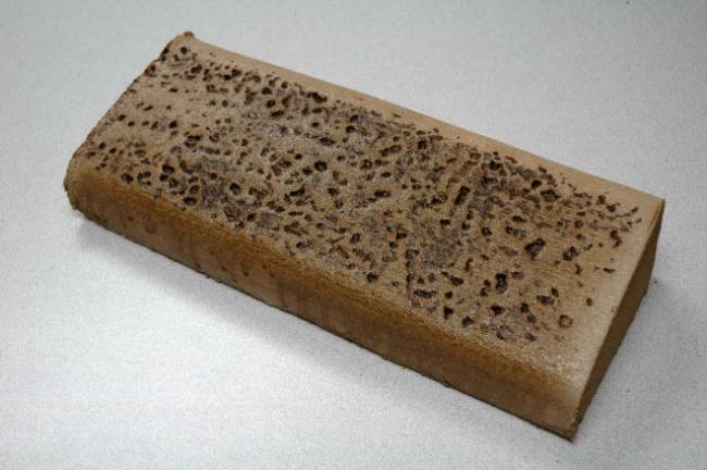 Rock Salt slant concrete curbing texture