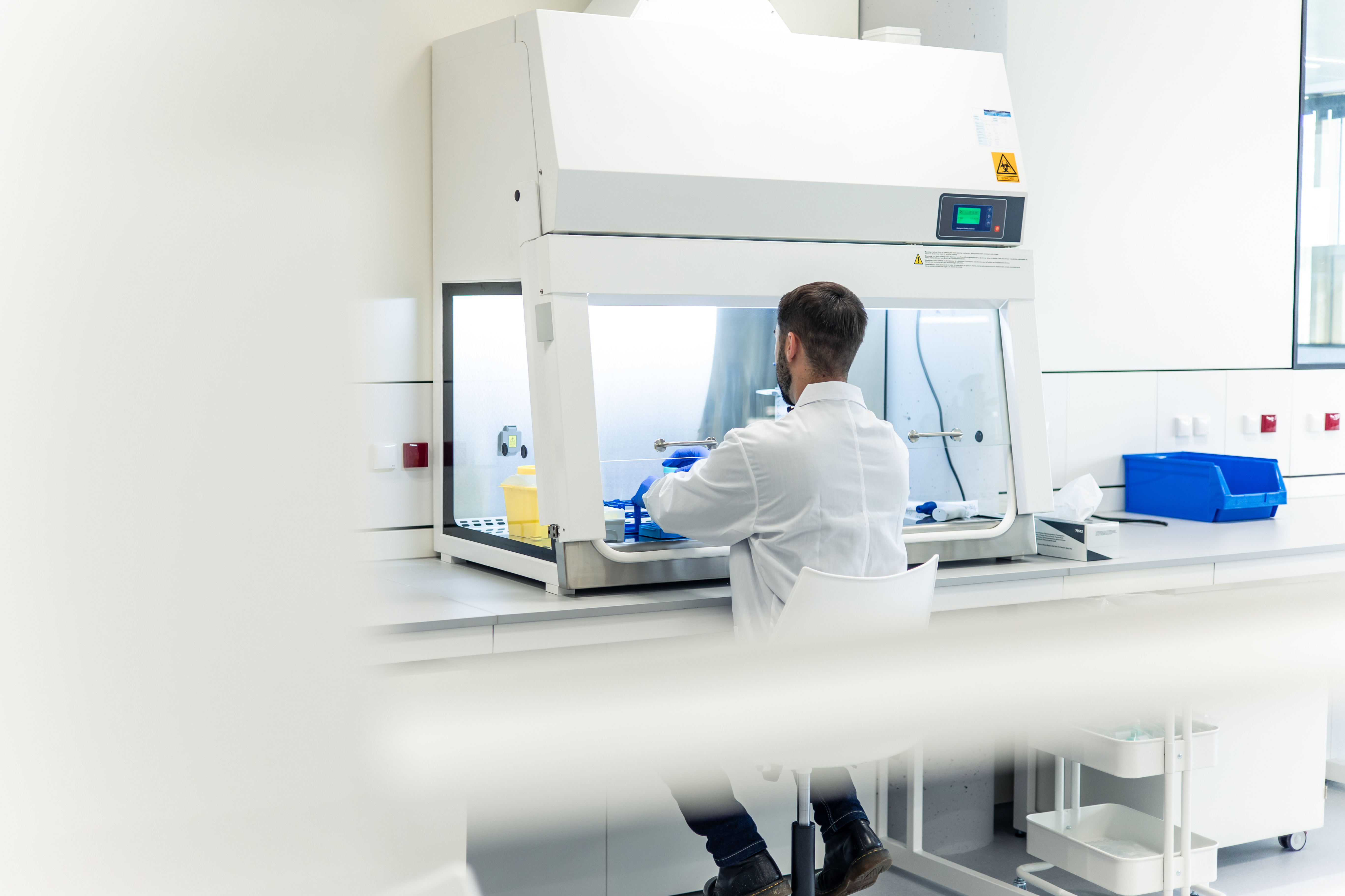 Scientist wearing a white lab coat working inside a laminar flow cabinet in a laboratory.