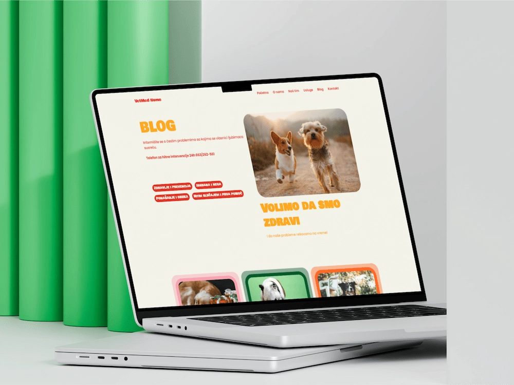 Modern veterinary website blog featuring pet health tips and expert animal care advice