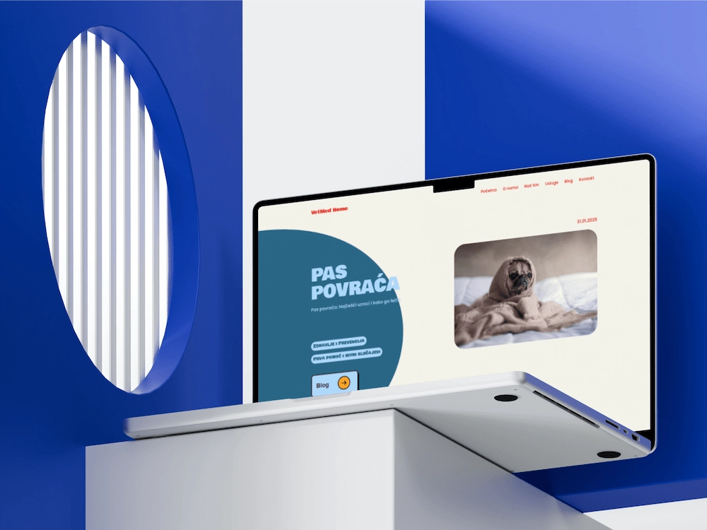Veterinary website article design about dog health and preventive pet care