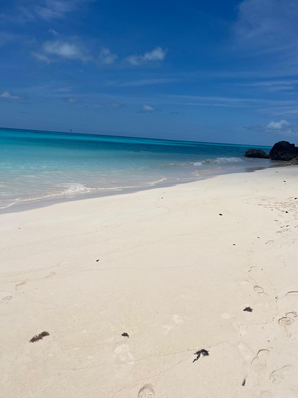Bermuda pink sand beach