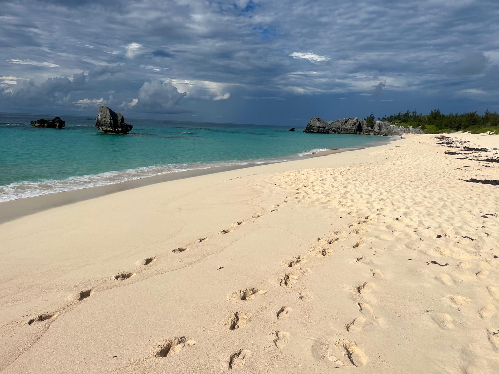 Footprints in Bermuda pink sand