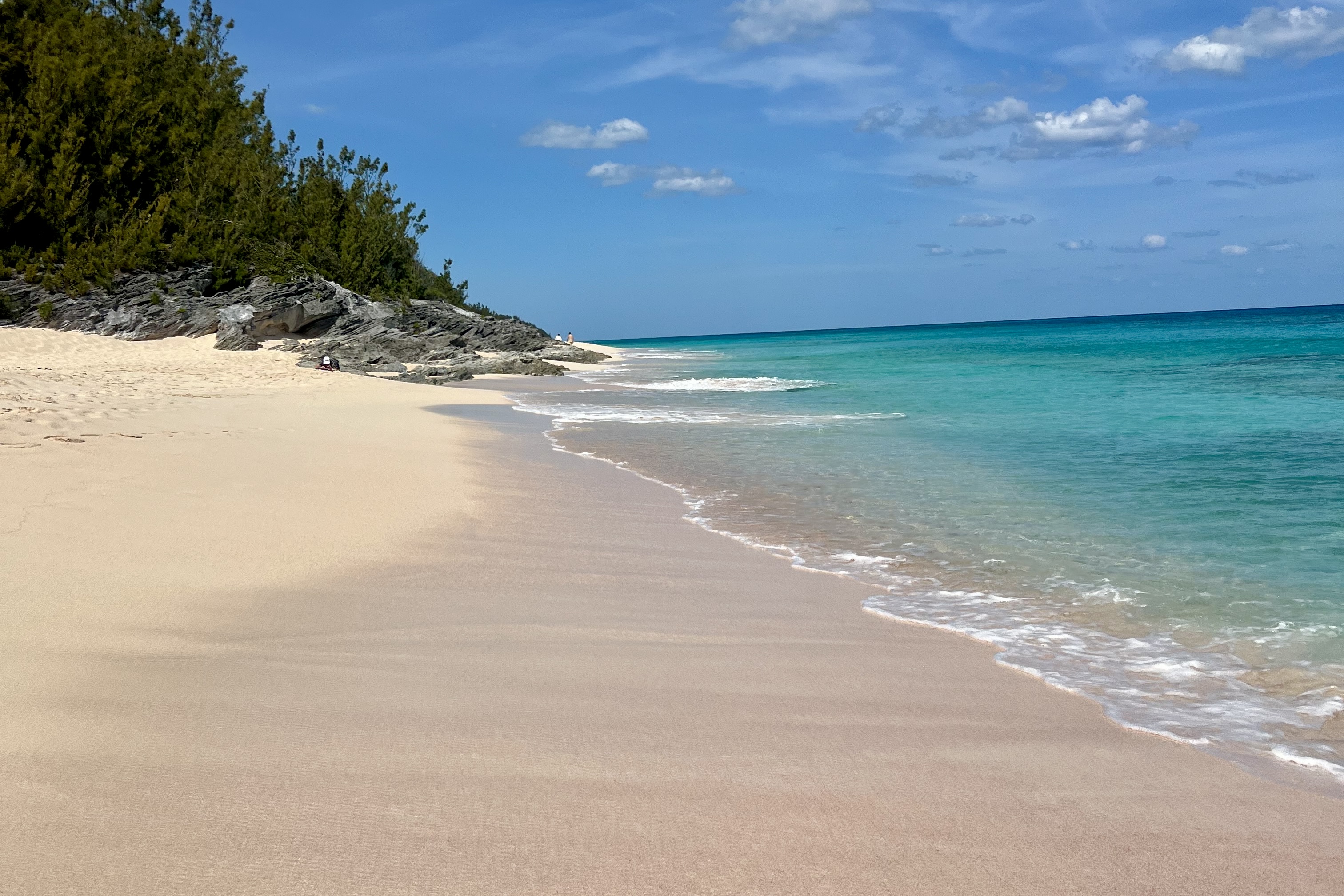 Empty pink sand beach in Bermuda with turquoise water