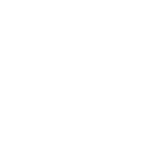 RaceChip logo