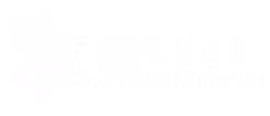 room29 photography